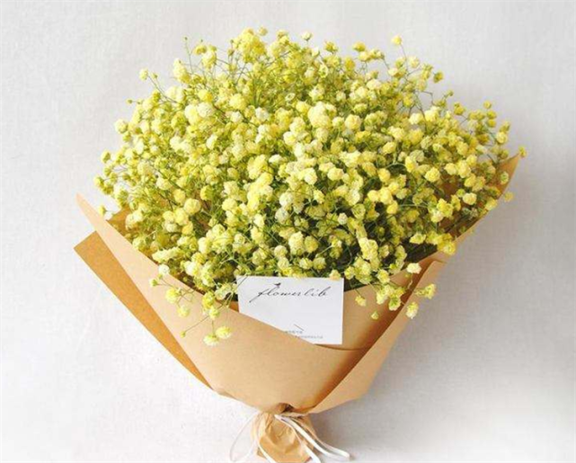 盘点6种满天星颜色的寓意最后一种颜色的满天星生活中少见