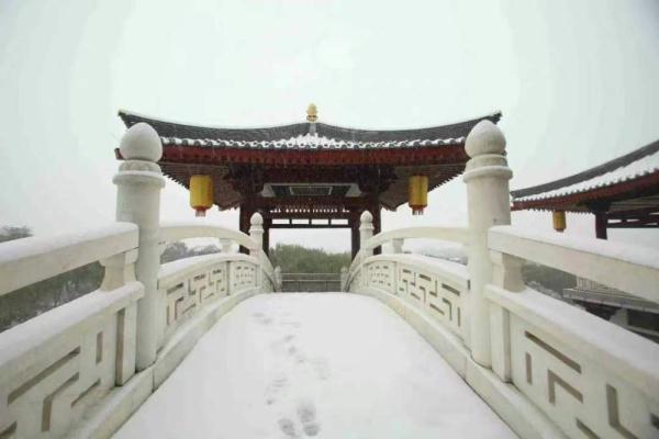 “虎年迎春——当代书法名家八人展”在北京紫竹院公园开幕爱美语官方电话