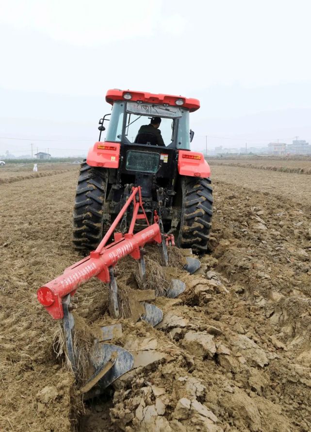 农历"大寒"刚过,广西柳州市融安县各族群众抢抓农时,耙田整地,春耕