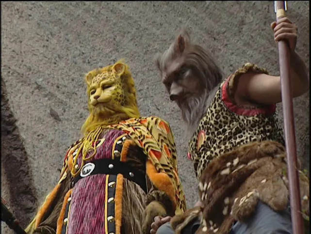 深扒金钱豹火遍全网背后的自娱自乐