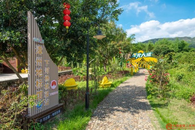 福建云霄:下河杨桃"甜"到农民心窝里|福建云霄|杨桃|下河村|农户