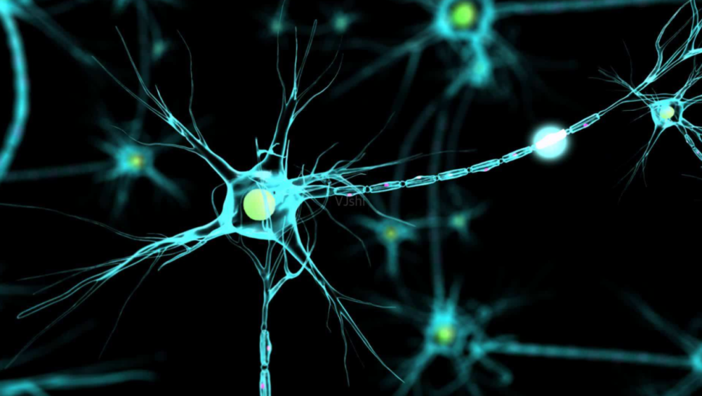 挑战不可能中国要构建人造超级大脑老外听后感到不可思议