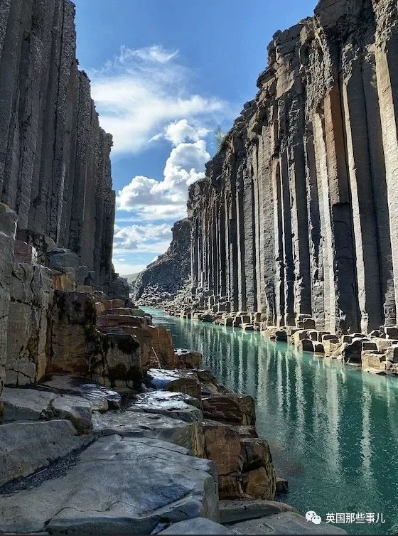 外国网友分享的生活中抓拍的美景每一张都好惊艳