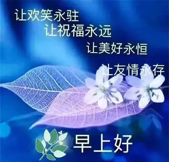 人生的风雨撑起;一颗心,把情感的厚度浸透;一声问候,把受伤的心灵抚慰