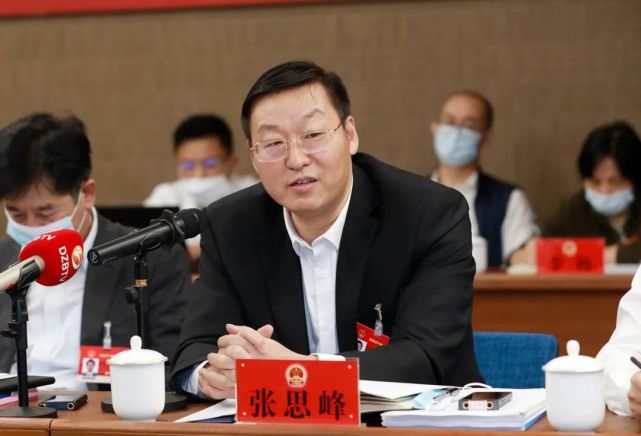 省人大代表张思峰在审议省政府工作报告.