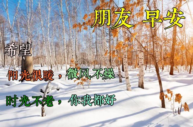 1月23日冬日最新版暖心早安问候美句,微信免打字早上好风景美图大全