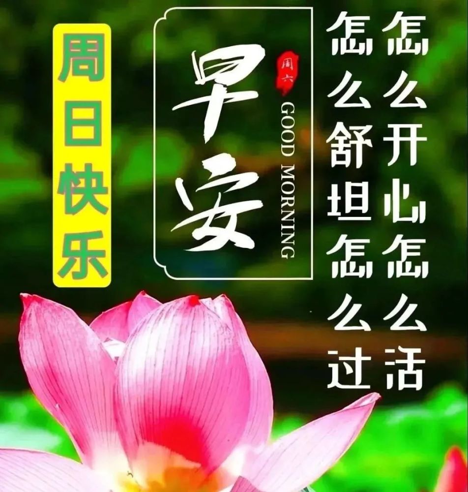 周日最新早上好暖心问候语短信,1月最美的早安祝福温馨文字图片,第1张