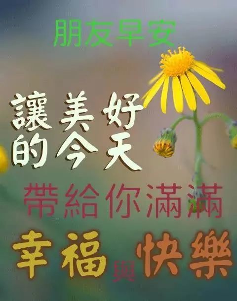 清晨早上好漂亮清新問候語圖片早安正能量短信問候祝福語錄大全