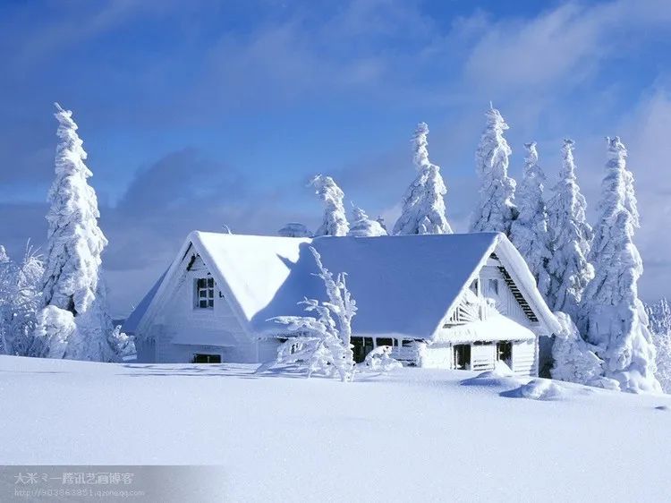 世界上最美的雪景