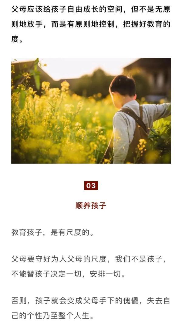 真正高级的父母:慢养孩子,放养孩子,顺养孩子