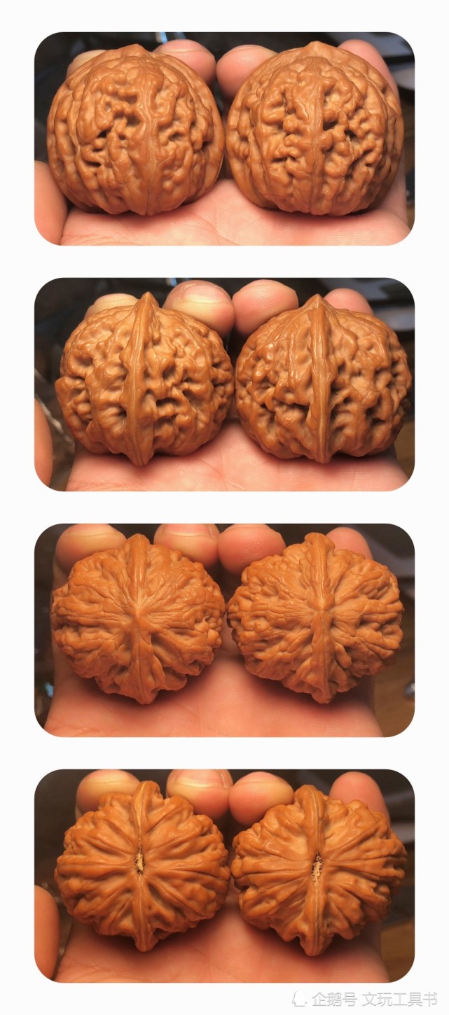 文玩核桃之凤凰台