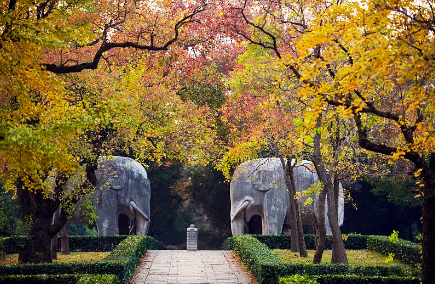 春节期间中山陵陵寝预约名额有调整