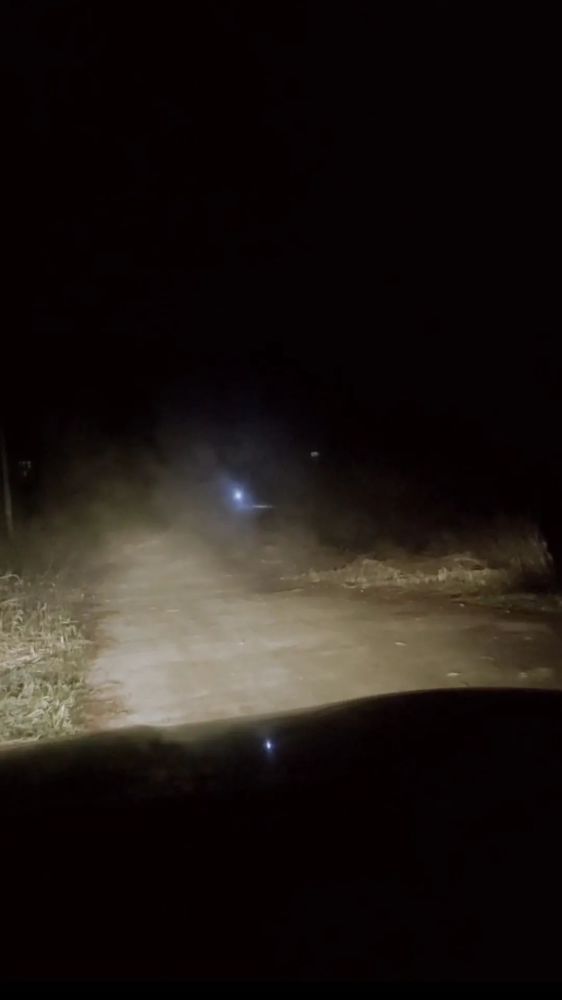 男孩打着手电筒深夜狂奔看哭网友 妈妈 这就是回家的理由 腾讯新闻