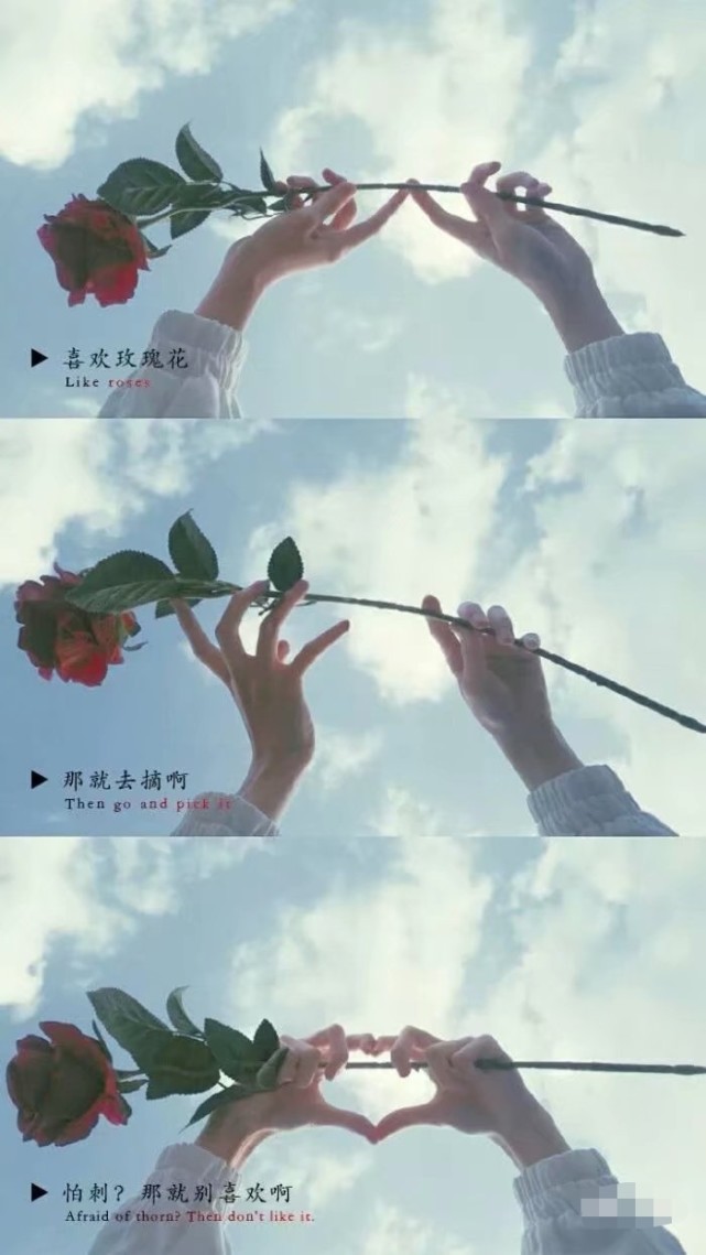 想了很久的三宫格壁纸