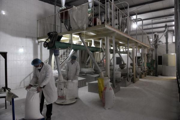 工人们正忙碌着生产加工石磨面粉