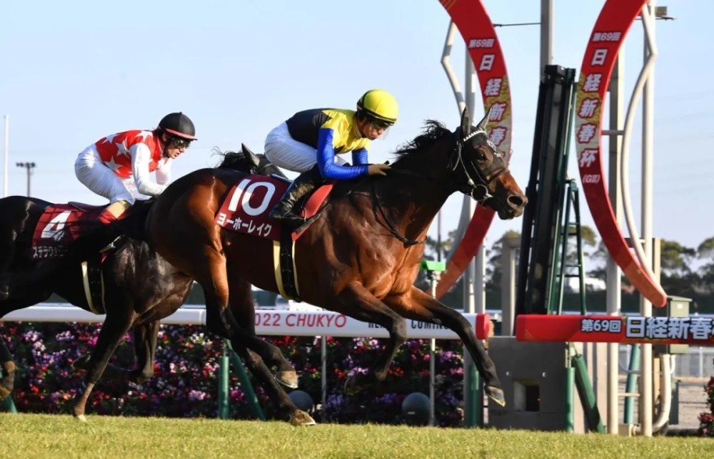 赛马邮报日本已故种公马大震撼第183个锦标赛冠军子嗣