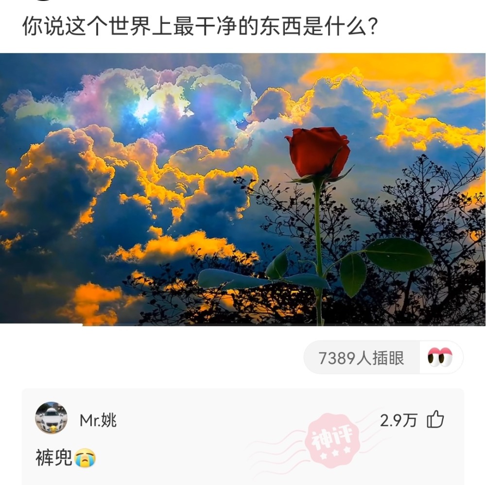 神回复3:要是开战,哪方胜率更大?