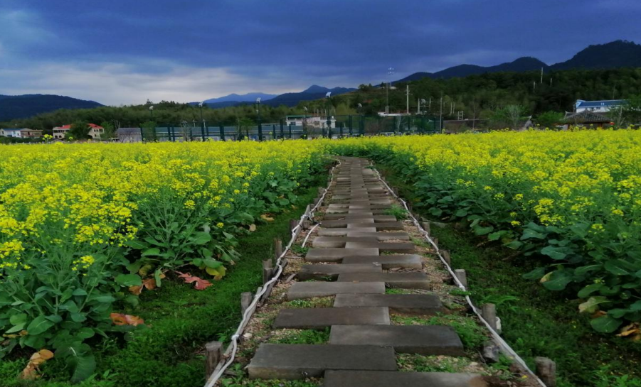 绿盈乡村连城县塘前乡塘前村