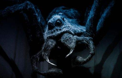 而在游戏中这张卡的效果就简单明了,使用之后扔出一瓶八眼巨蛛毒液,对