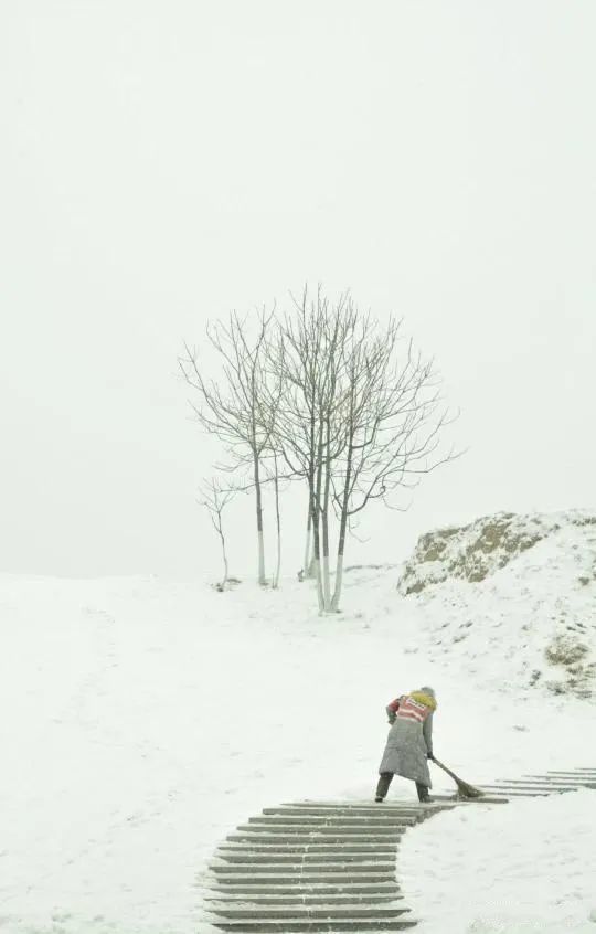 銀裝素裹分外妖嬈看點評學攝影把雪景照片拍出新意