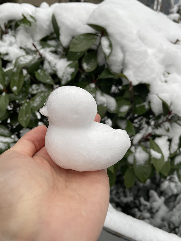 郑州的玩雪神器有多火雪球夹热卖有商家不到一天卖光库存
