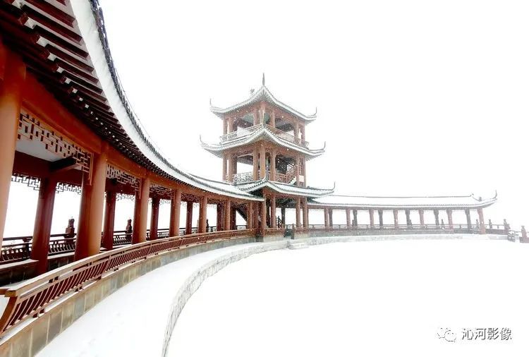 龙岗公园雪景_深圳热线