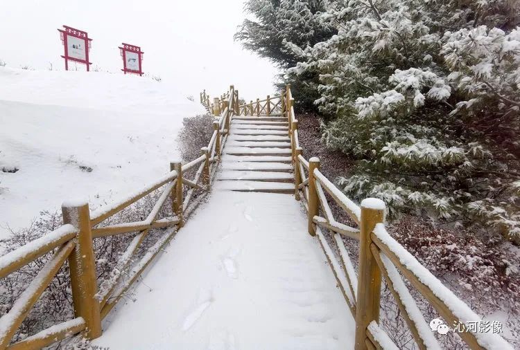 龙岗公园雪景_深圳热线