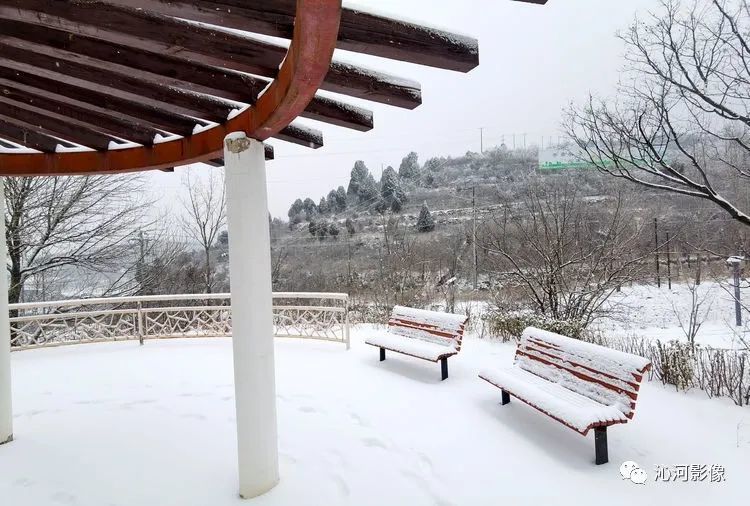 龙岗公园雪景_深圳热线