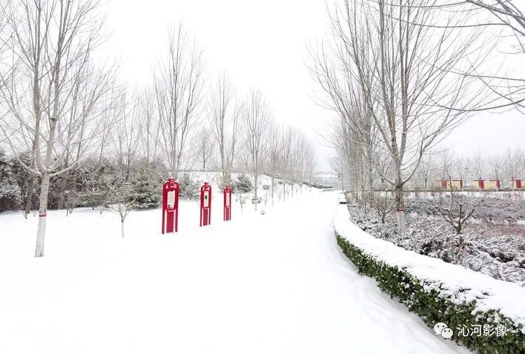 龙岗公园雪景_深圳热线