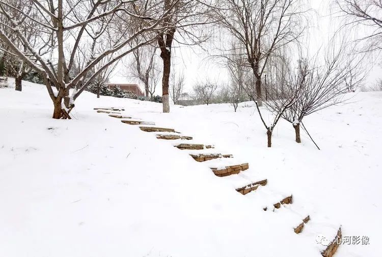 龙岗公园雪景_深圳热线
