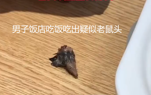 男子餐厅吃饭吃出老鼠头混在木耳里难发现店方出于人道免单