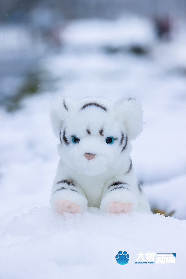 一个戴口罩的小雪人白雪压弯了树枝滑雪的孩子一只爬上树的"雪兔子"