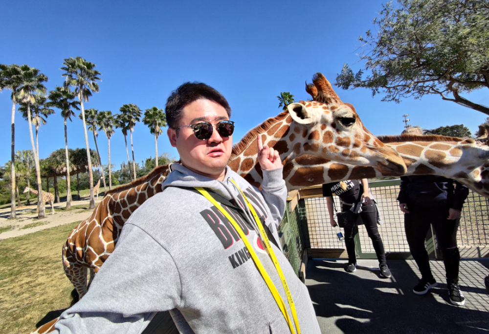 环球旅行两年(环球旅行569天)