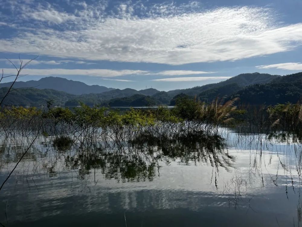 好山自然少不了好水,七星坑省级自然保护区内溪流清澈,远处大山层层叠