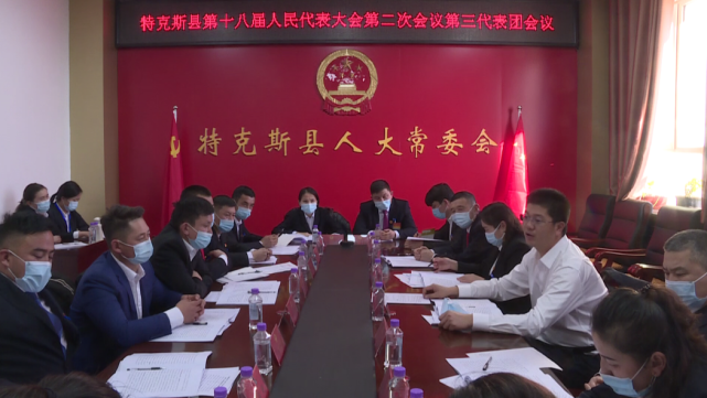 人大代表|琼库什台村|人民代表大会|特克斯县|代表团|政府工作报告