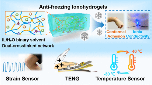 北京林业大学杨俊:耐冻性离子水凝胶粘合剂,用于柔性离子电子器件