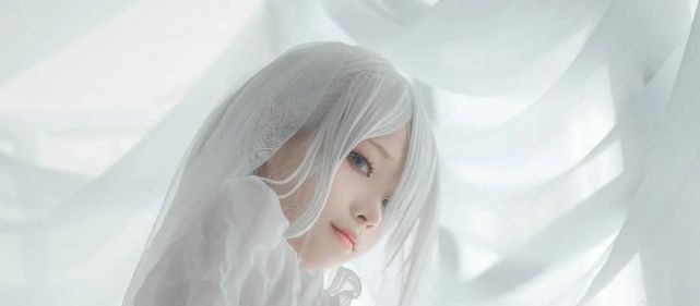 蠢沫沫——白婚纱