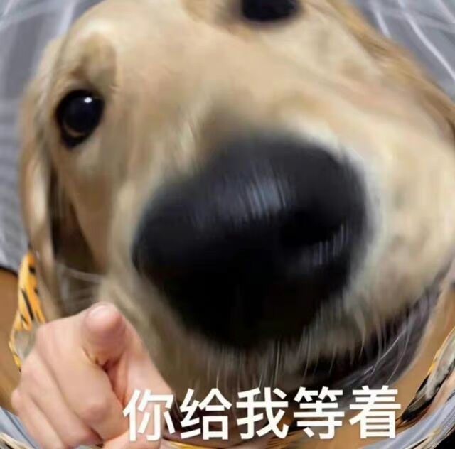 沙雕狗头表情包我才不在乎呢