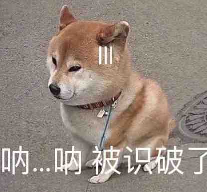 大怨种狗头表情包:赔钱 我被你创死了