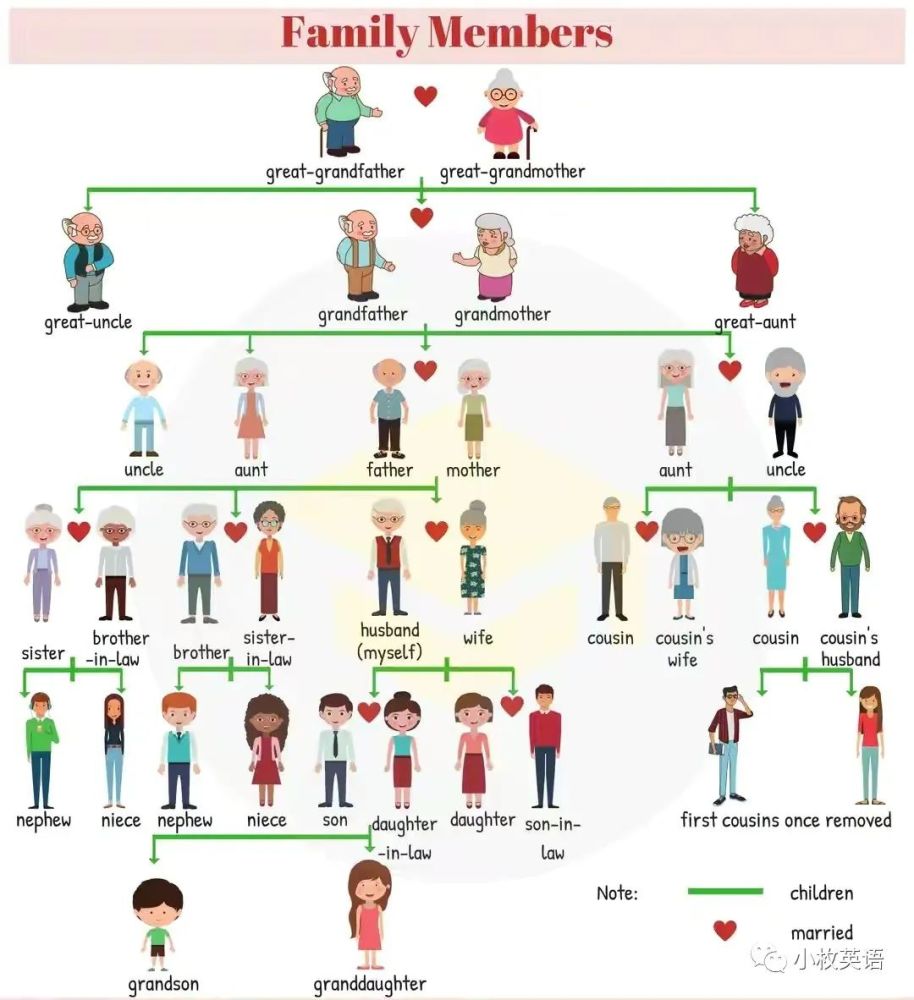 英語學習一文給你講清楚家庭關係親戚個人狀態的英文表達
