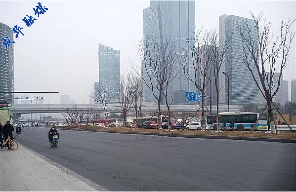 到二仙桥走成华大道走起撒成华融媒