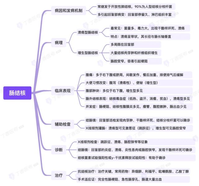 思維導圖消化系統之腸結核