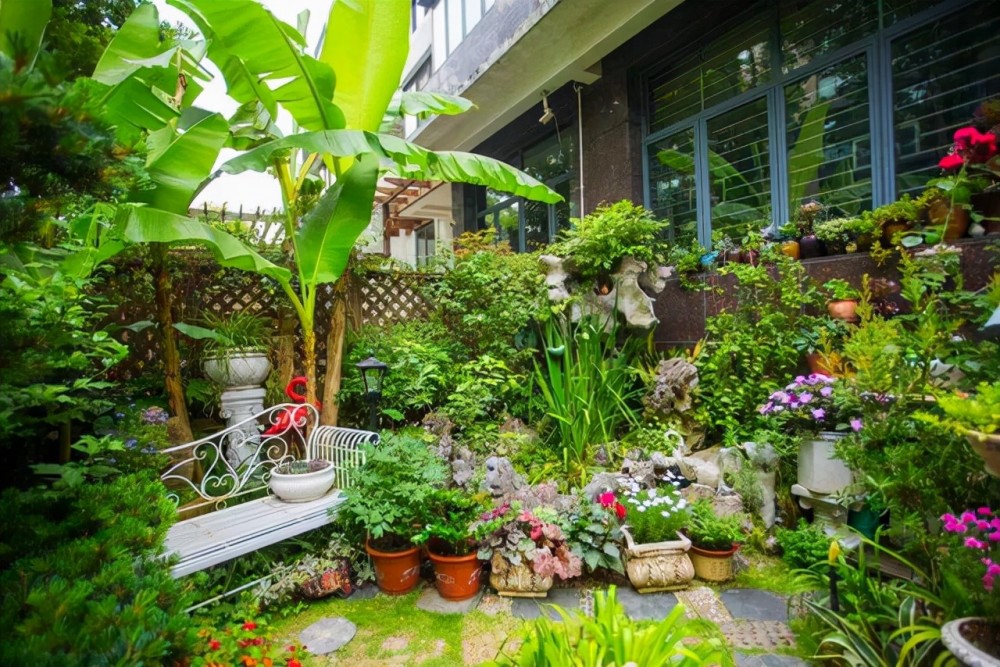 终于找齐了这些适合庭院种植的植物都在这里你猜中了几种