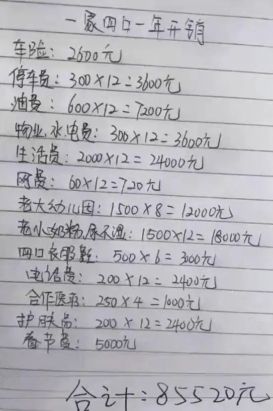 宝妈晒年度养娃账单一胎花费竟超二胎网友独生子女更费钱