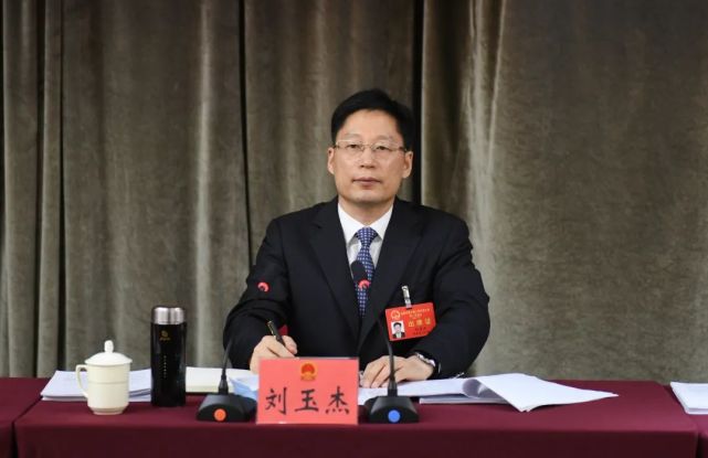 刘玉杰参加临泉县代表团审议