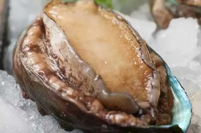 世界上最珍贵最稀有的鲍鱼,一只价格高达上万元