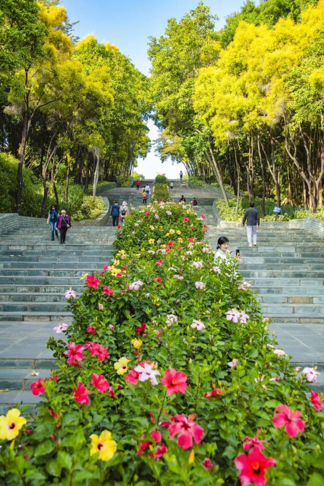 鮮花盛開,綠意盎然,遊園賞花,感受這美好風光.