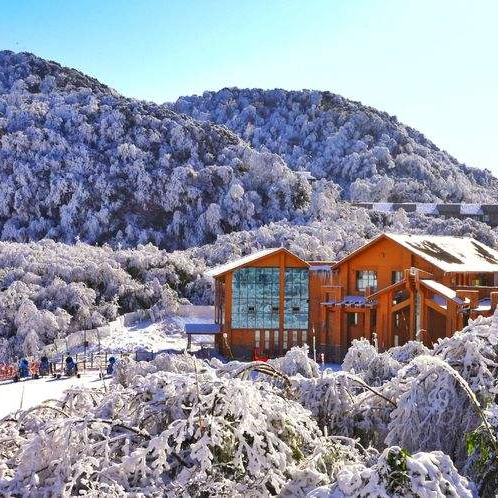 金佛山,等你邂逅一个冰雪王国