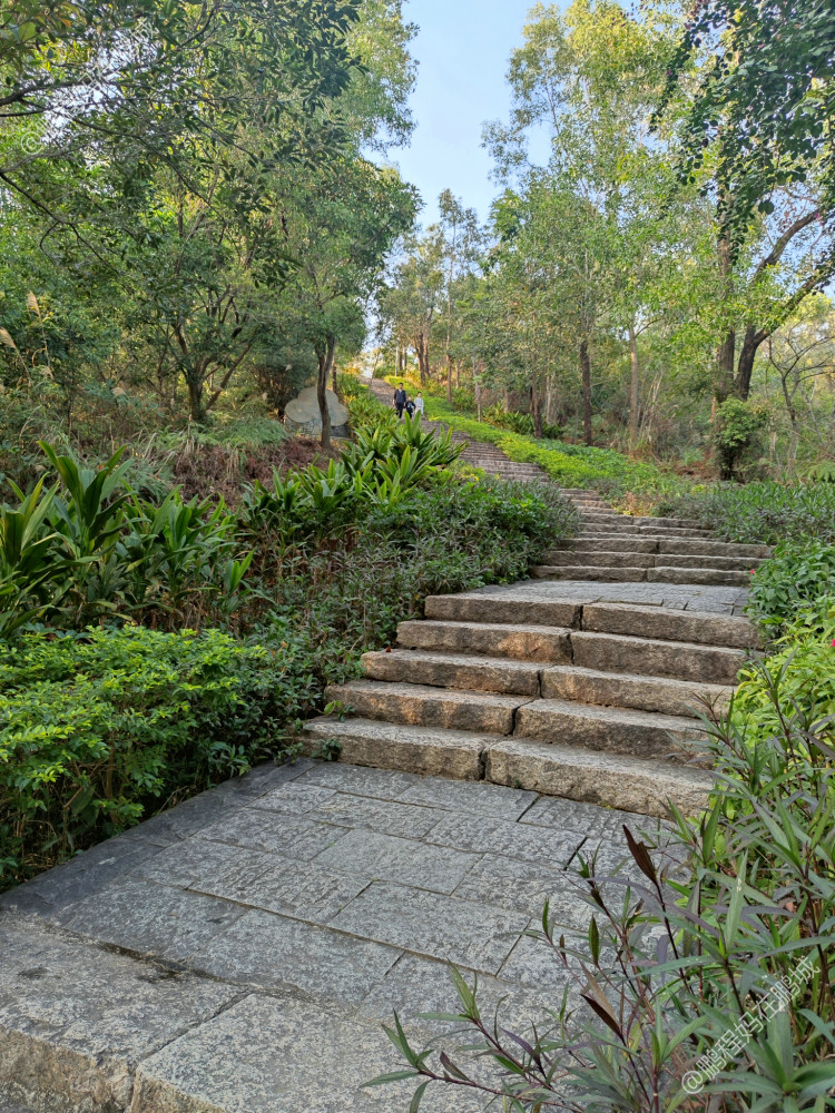 深圳龙岗龙城公园山林风景个人摄影集登山道徒步露营