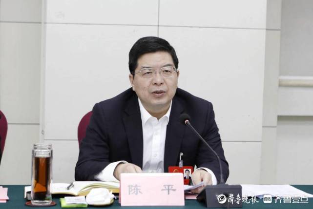 省人大代表,枣庄市委书记陈平:深入实施"六大提升工程"